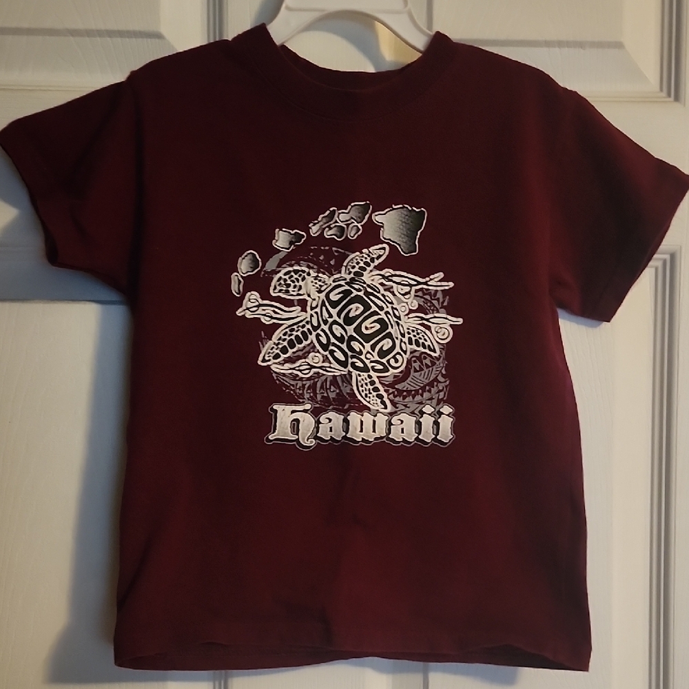 Hanes Kids T-Shirt - Maroon with Turtle Design